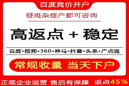 SEM投放策略：成功案例解析
